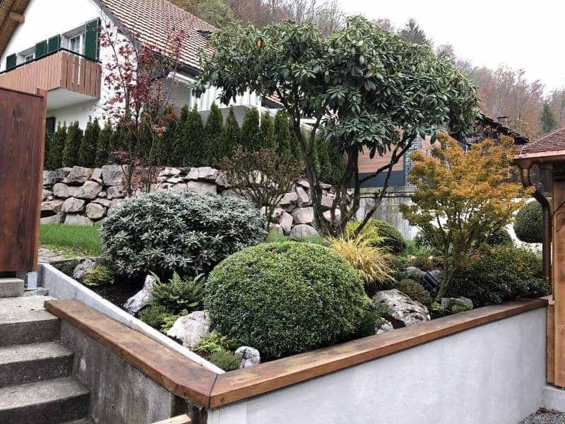 gardendesign-rhododendron-azalee-japanisch-steingarten-zug-zuerich