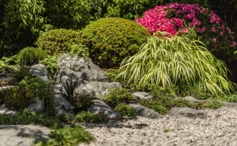 gartengestaltung-steingarten-japanisch-zurich-zug-luzern_0572
